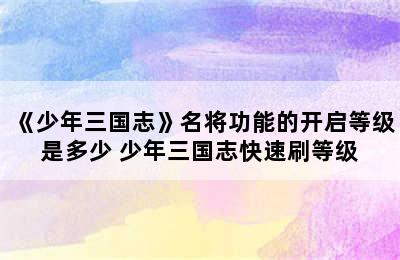 《少年三国志》名将功能的开启等级是多少 少年三国志快速刷等级